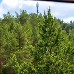 Vila Pekovic, Pine Trees View Apartment With Big Balcony In The Center Of Zlatibor!