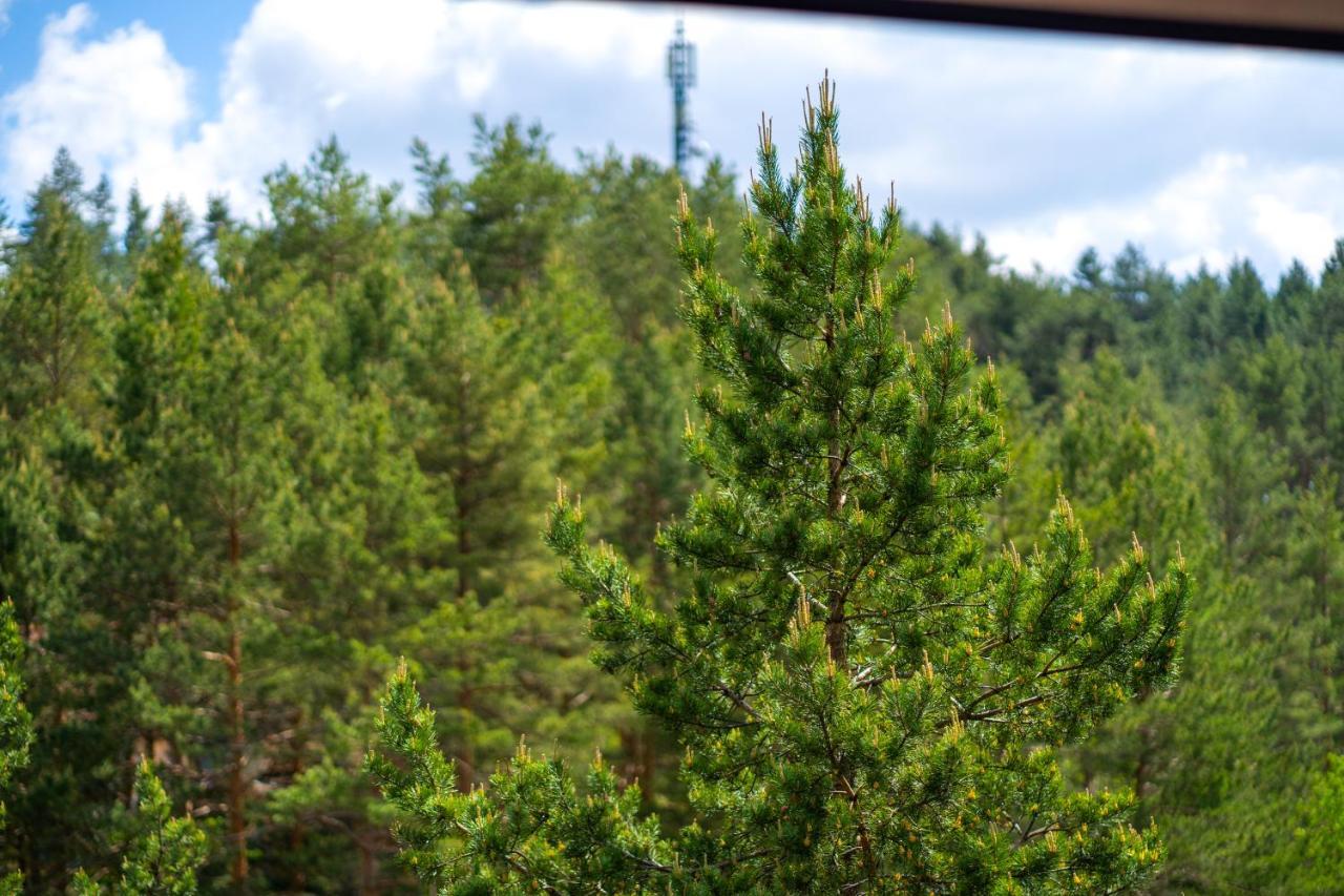 Apartment Pekovic, Pine Trees View With Big Balcony In The Center Of Zlatibor! *